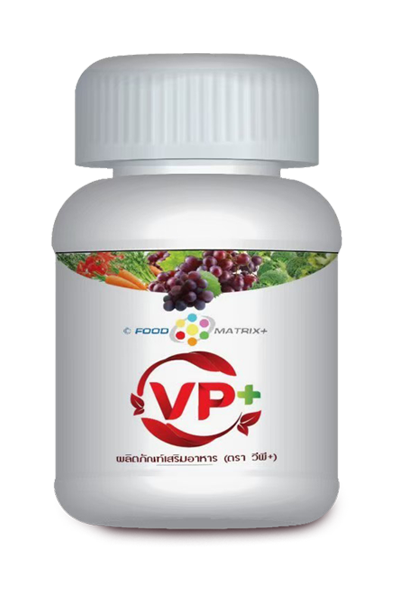 VP PLUS
